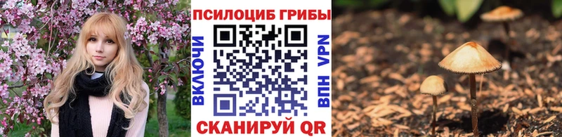 Псилоцибиновые грибы мухоморы Неман